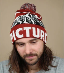 Picture Bernie Beanie Brick